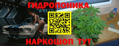 сатива Гай
