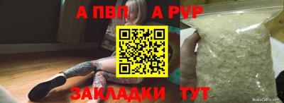 сатива Гай