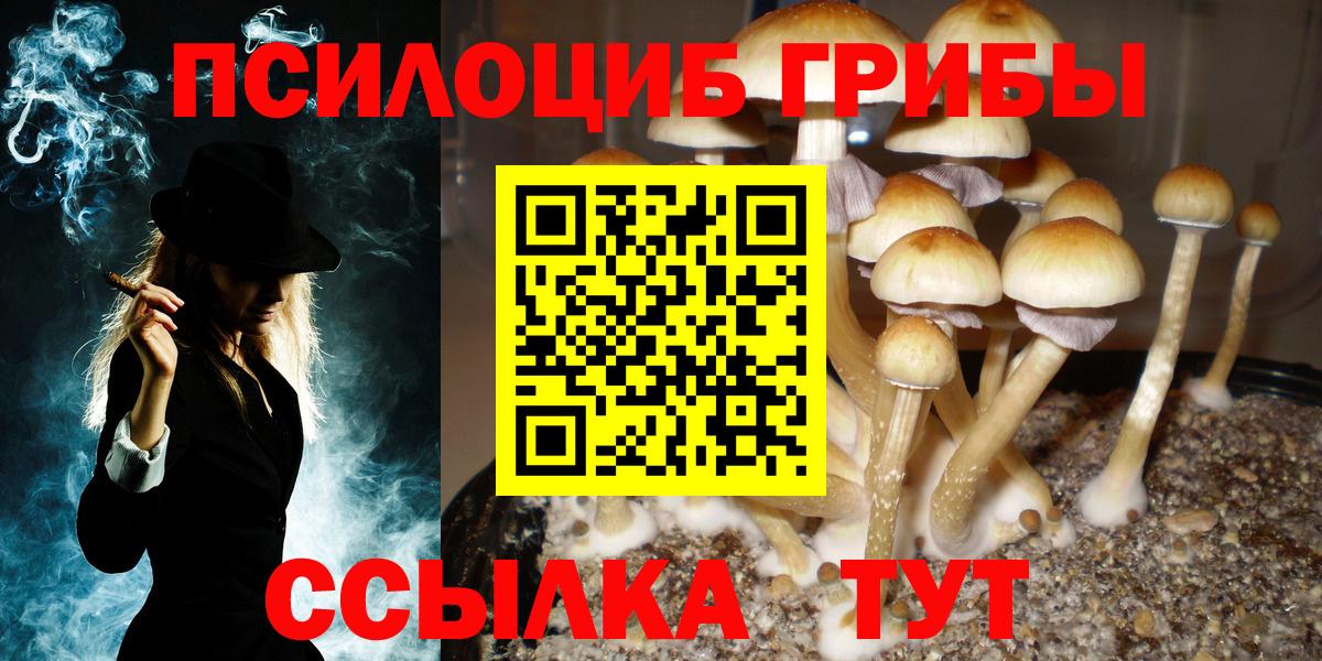 Назрань  Псилоцибиновые грибы Magic Shrooms  Галлюциногенные грибы мицелий  Вход с VPN 